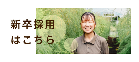 新卒採用はこちら